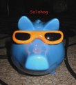 Solo Hog -- Recording Mascot